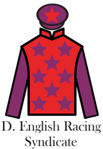 Affordable-irish-racehorse-syndicate-shares---Damian-English